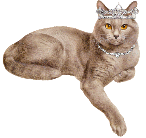 chat