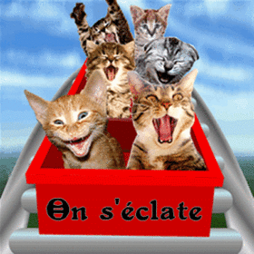 LES CHATS